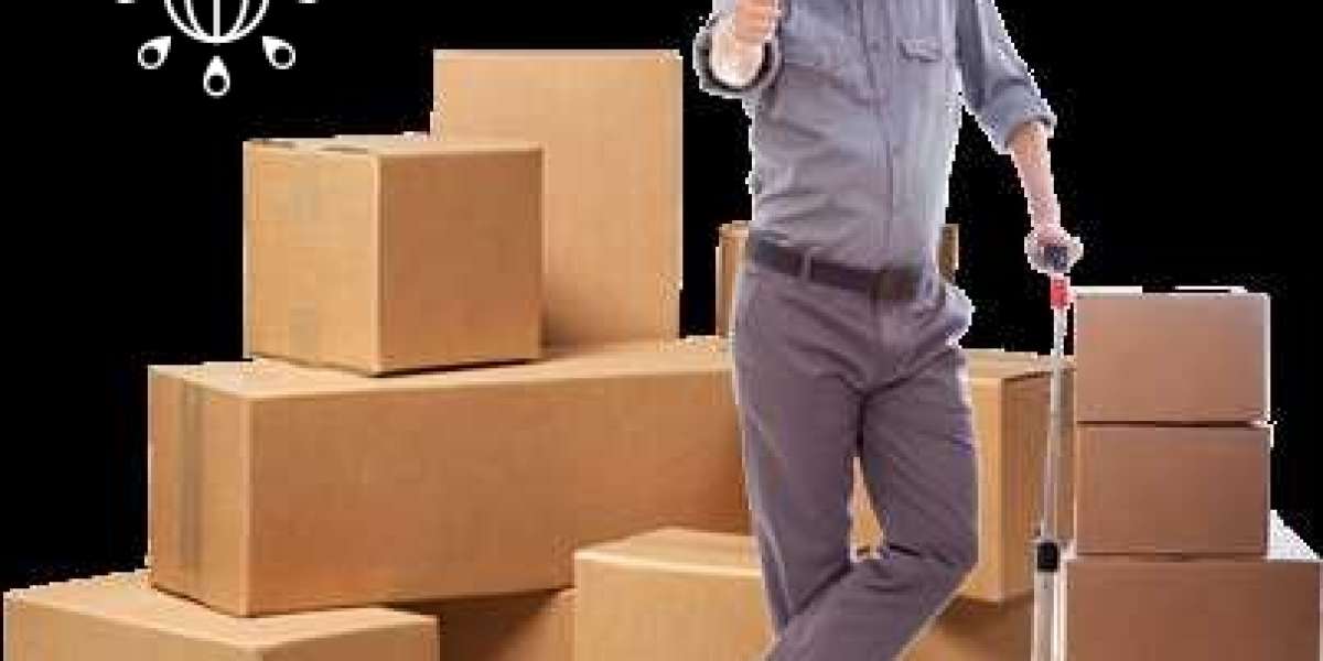 Tips to Hire Reliable Short Notice Movers in Toronto