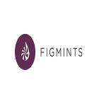 Figmints Digital Creative Marketing & Web Design Profile Picture