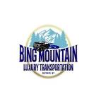 Bing Mountain Luxury Transportation Profile Picture