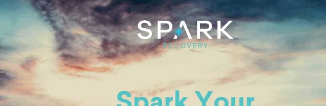 Spark Recovery Cover Image