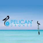 PelicanDrones Profile Picture