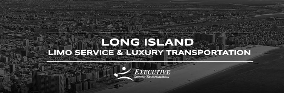 Executive Limousine Cover Image