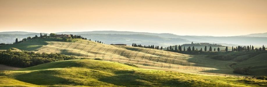 IDYLLIC ITALY Cover Image