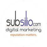 Subsilio Consulting, LLC profile picture