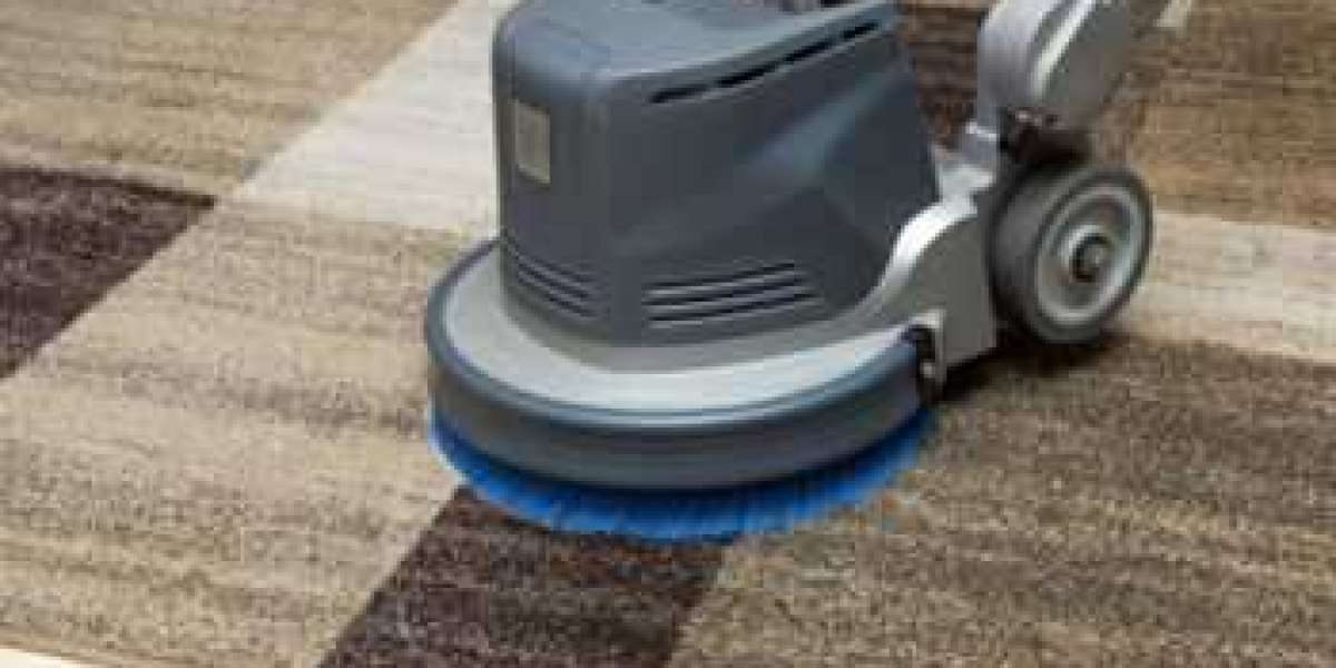 Why Professional Carpet Cleaning Is Important for Rental Properties