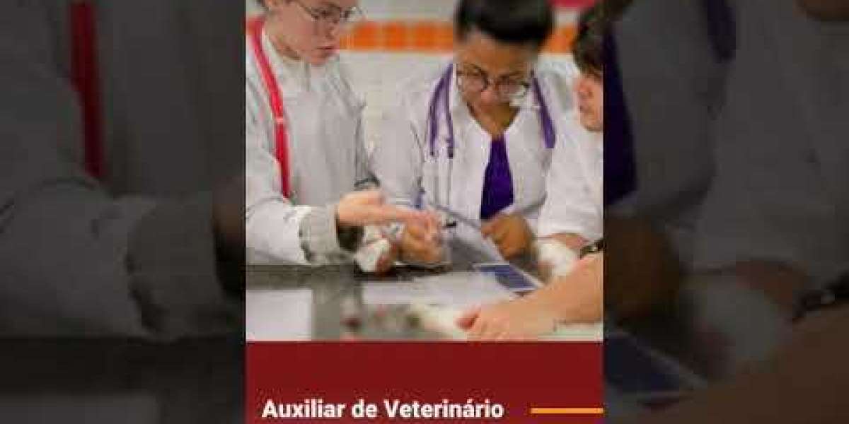 Teste a Saúde do Seu Cão: Avaliação da Erliquiose no Gold Lab Vet SP