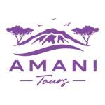 amanitours profile picture