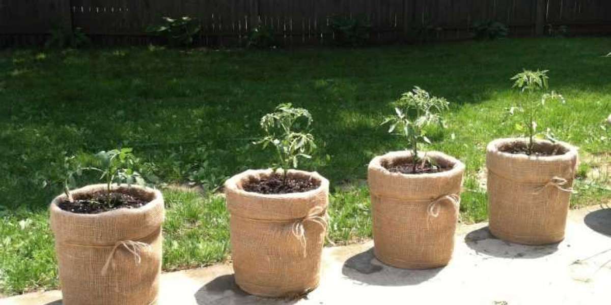 Burlap Wrap for Potted Plants: Enhance Your Garden with This Natural Material