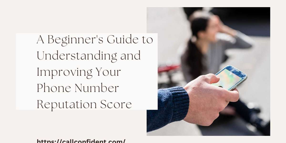 A Beginner's Guide to Understanding and Improving Your Phone Number Reputation Score