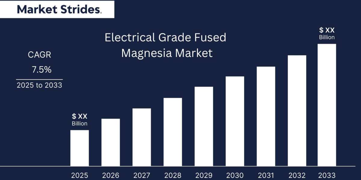 Electrical Grade Fused Magnesia Market Industry: Growth and Forecast 2033 | Market Strides