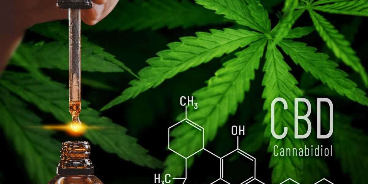 Explorando el Mercado de Cannabidiol en Ecuador: Oportunidades y Tendencias en Crecimiento