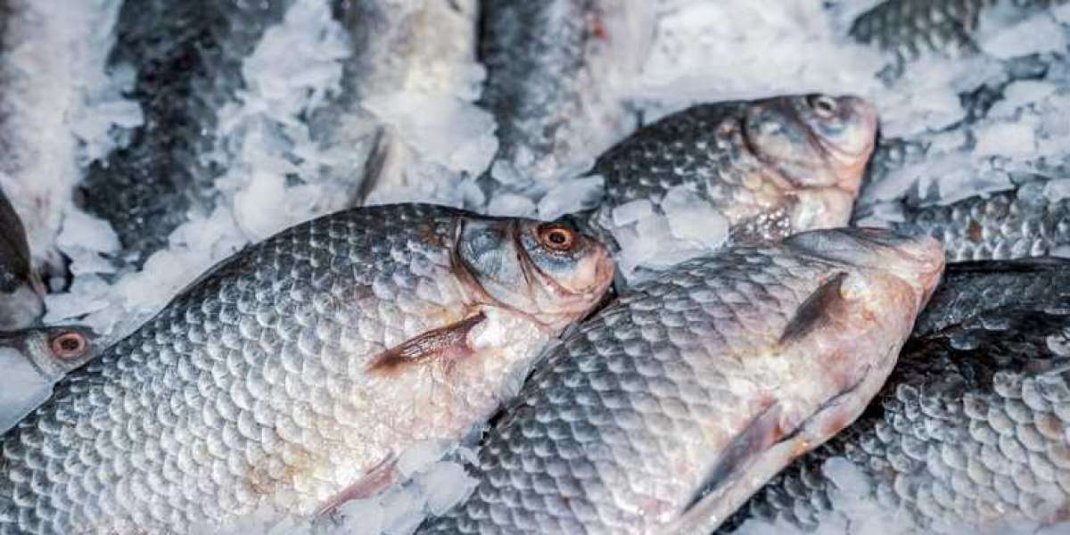 Fish Processing Plant Cost to Setup an Unit, Layout & Site Development: Project Report