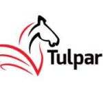 Tulpar Global Taxation Profile Picture