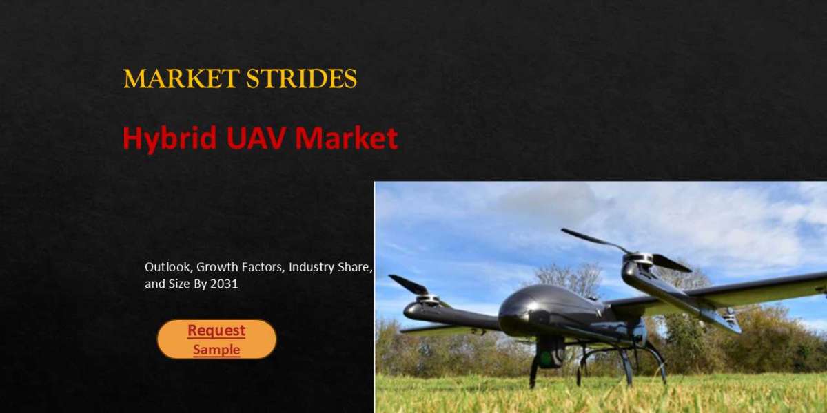 Hybrid UAV Market Industry Size, Share & Forecast to 2033: Growth Trends Explored