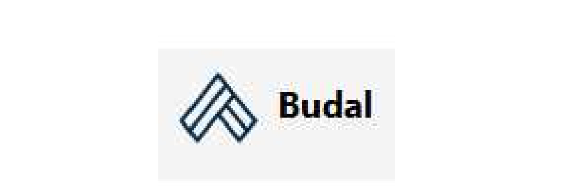 budal info Cover Image