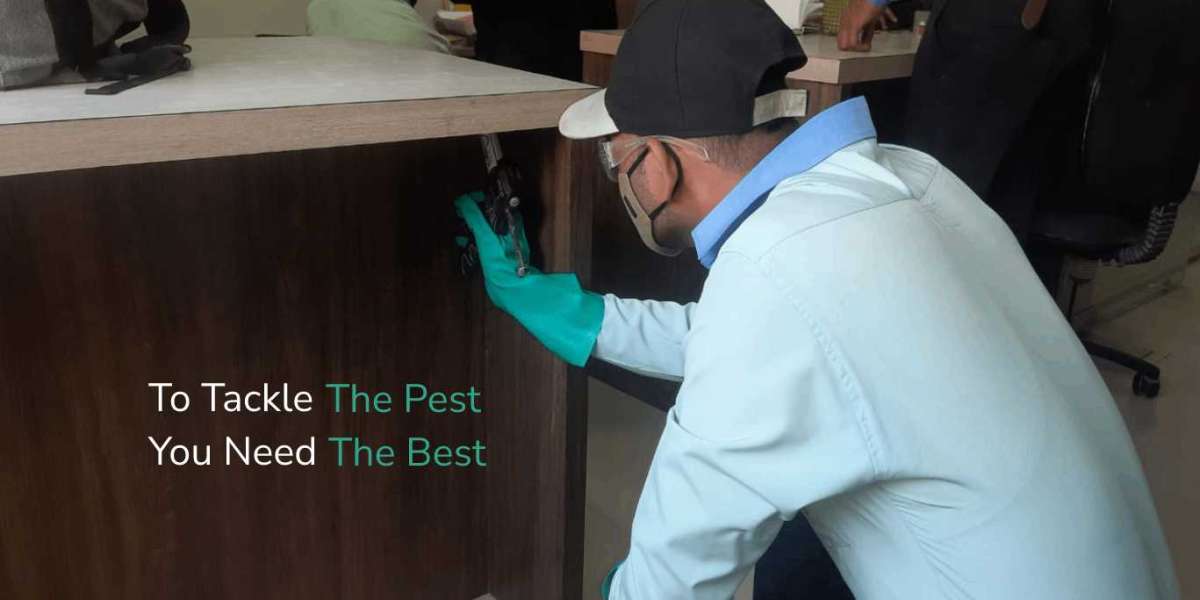 Best Pest Control Companies in Mumbai: Your Ultimate Solution