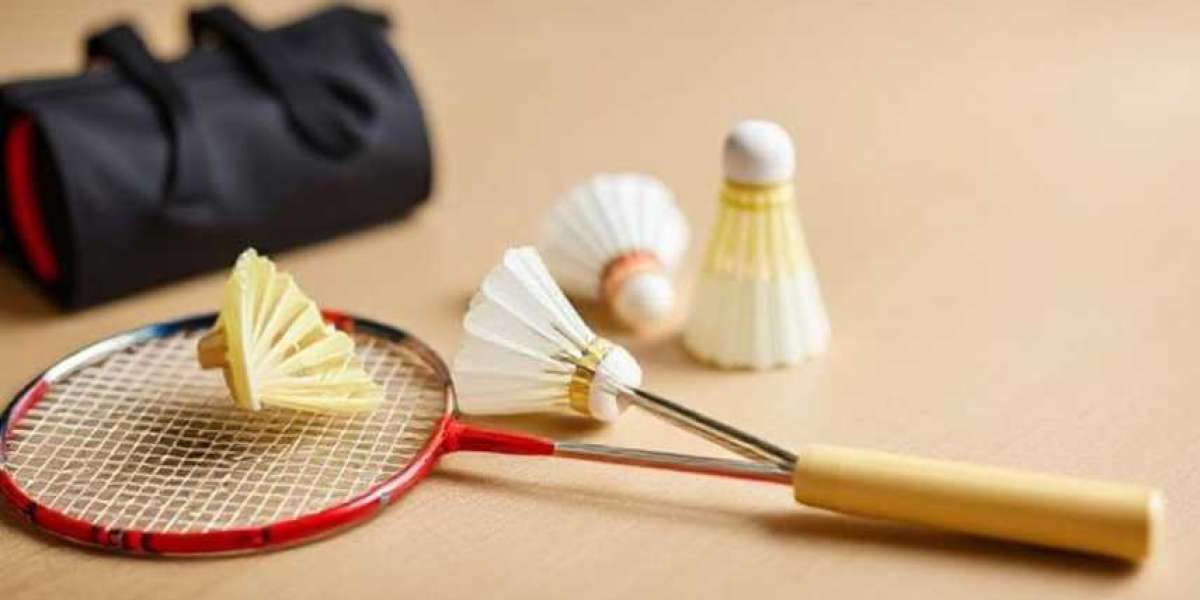 The Ultimate Guide to Choosing the Best Badminton Set