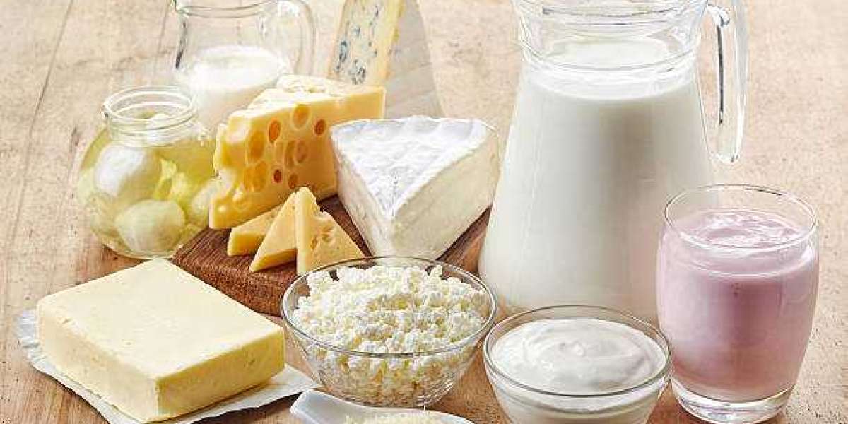 Dairy Ingredients Market Expansion & Investment Insights Report 2032