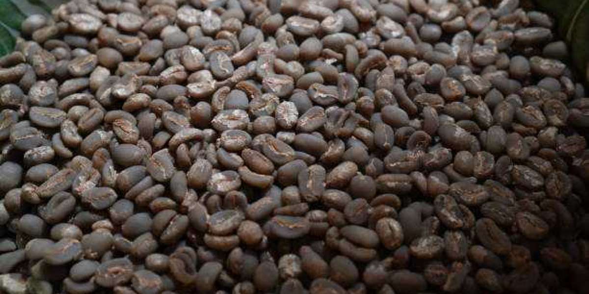 Specialty Coffee Beans Market Size, Share & Research Demand Report 2032