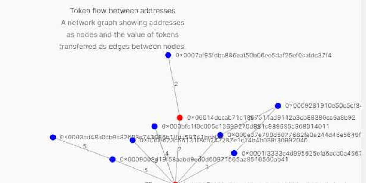 Enhancing Tokenization Strategies with Token Flow Analysis