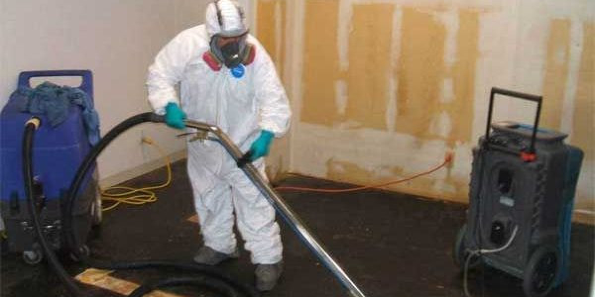 Professional Mold Removal & Inspection – Protect Your Home & Family