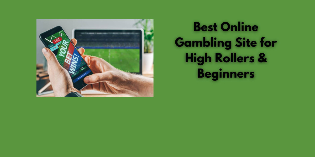 Best Online Gambling Site for High Rollers & Beginners