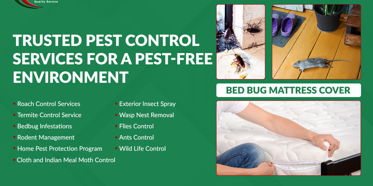 Termite Treatment Vaughan: Effective Solutions for Termite Control