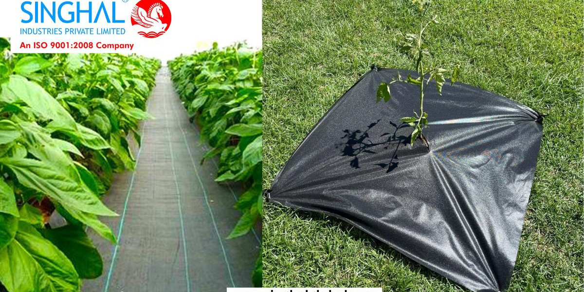 Weed Mat: The Ultimate Solution for Efficient Weed Control in Gardens