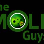 The Mold Guys profile picture