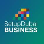 Setup Dubai Business profile picture