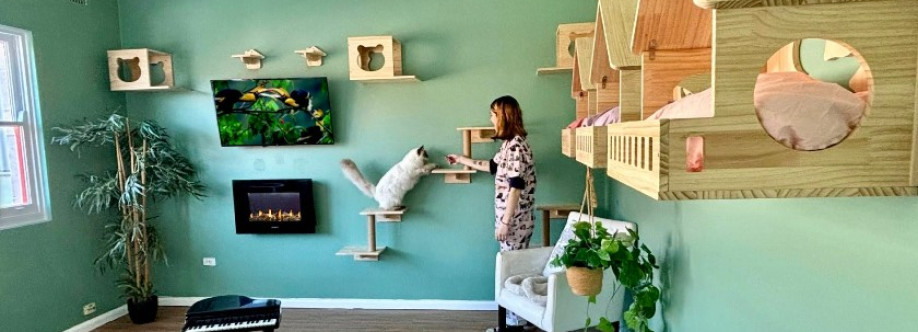 Hotel for Cats Cats Cover Image