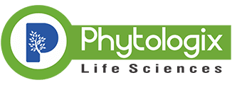 Top 10 Ayurvedic Medicine Manufacturers In India List 2024