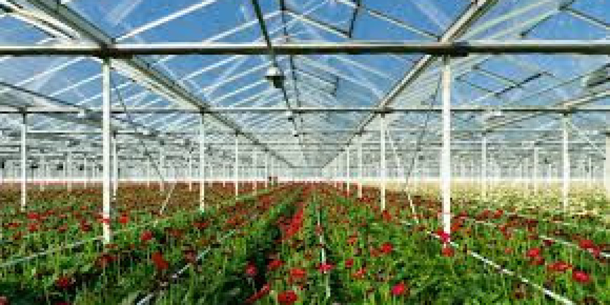 Revolutionizing Agriculture: An In-Depth Look at the Greenhouse Horticulture Market Forecast (2025–2031)