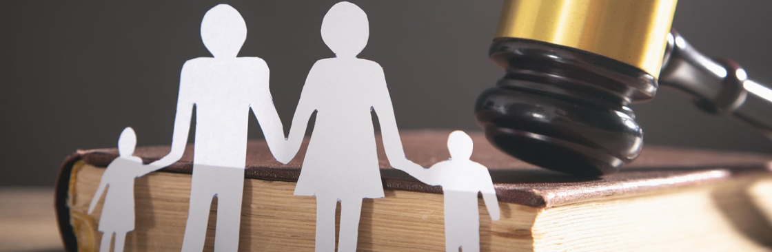 The Law Firm of Nasreen Alissa Cover Image