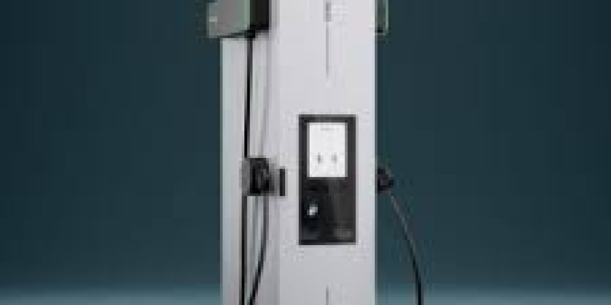Global EV DC fast charger Market Report: Trends, Opportunities, and Forecast 2025-2031