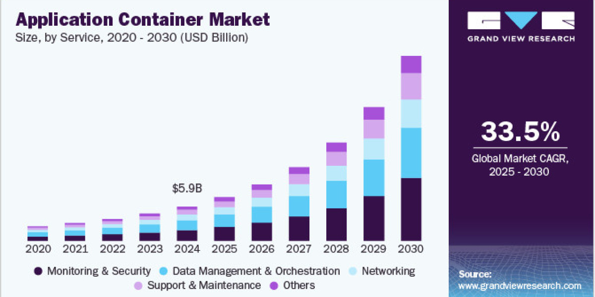 Application Container Market Industry Regulations and Standards
