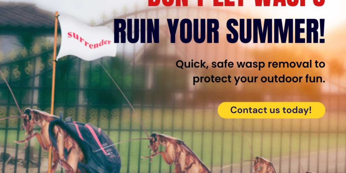 Comprehensive Pest Control in Belfast, Armagh, and Antrim: Local Experts You Can Trust
