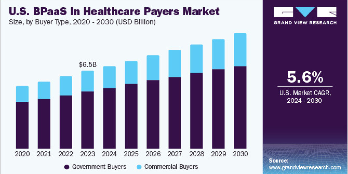 U.S. Business Process As A Service In Healthcare Payers Market Surges with Cloud Trends