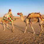 incredibleindiarajasthantours Profile Picture