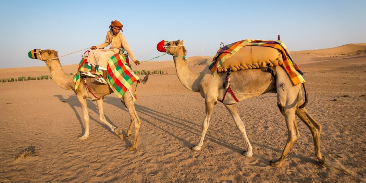 Royalty with the Best Rajasthan Tour Packages